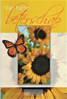 Van harte Beterschap - wenskaart | mcms.nl