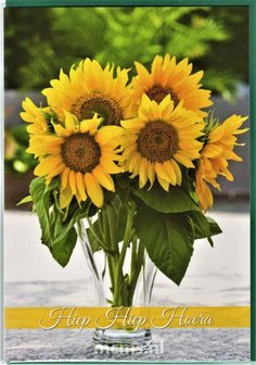 Hiep Hiep Hoera - wenskaart met enveloppe | MCMS.nl