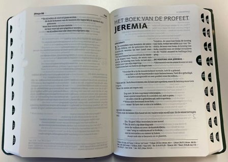 Bijbel HSV groenleer met index | mcms.nl