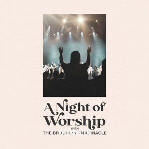 A Night Of Worship CD - Brooklyn Tabernacle | mcms.nl