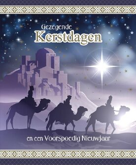 Kerstwenskaart | mcms.nl