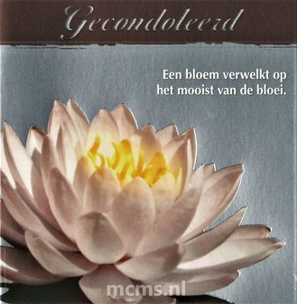 Gecondoleerd - condoleancekaart