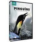 PINGUINS-UNDERCOVER-|-BBC-EARTH